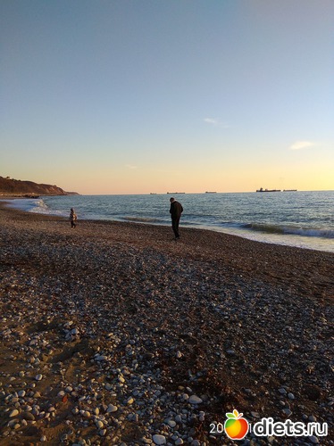 51 ����: ���������