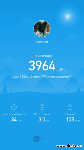 168 фото: Выставки