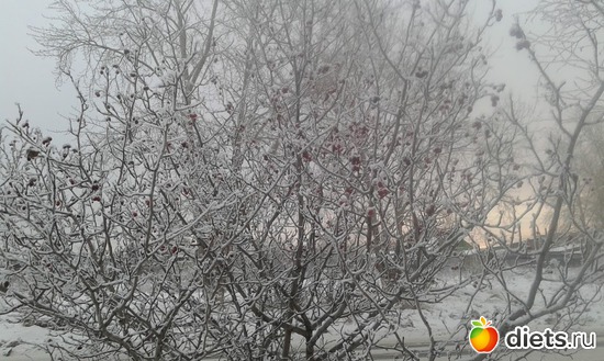 ����������� 03.12.2017., ������: �������� ���������.