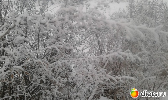 ����������� 03.12.2017., ������: �������� ���������.