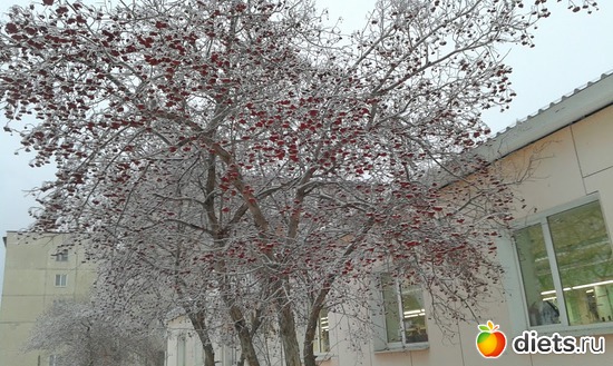 ����������� 03.12.2017. ������ - ������ ��������.., ������: �������� ���������.