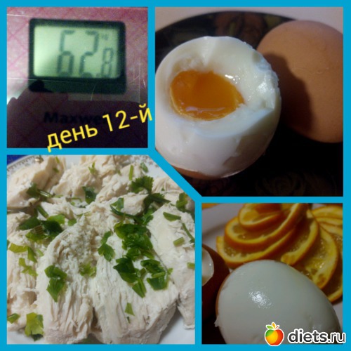 5 ����: ����� "�����" 2 ������