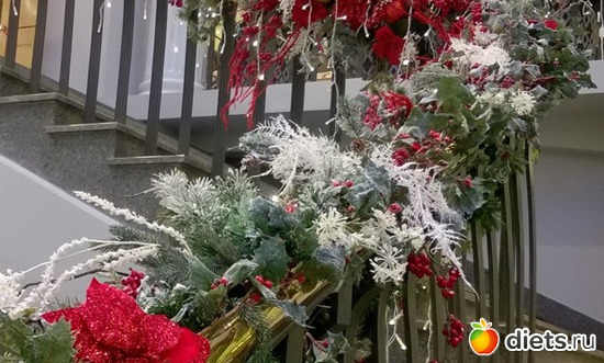 27 ����: ���������� ��������� 2017-2018