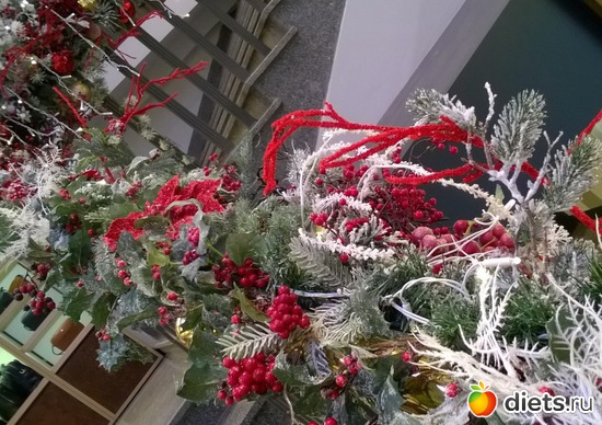 28 ����: ���������� ��������� 2017-2018