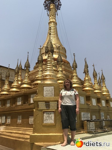 219 ����: ������ 2017. �����