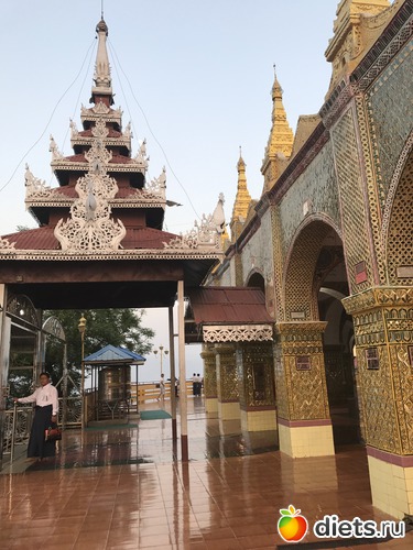 416 ����: ������ 2017. �����