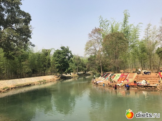 677 ����: ������ 2017. �����