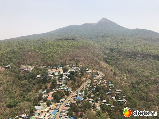 220 ����: ������ 2017. �����