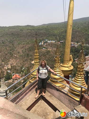 223 ����: ������ 2017. �����