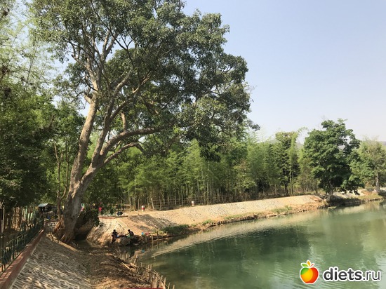 679 ����: ������ 2017. �����