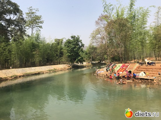 681 ����: ������ 2017. �����