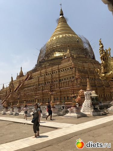 86 ����: ������ 2017. �����