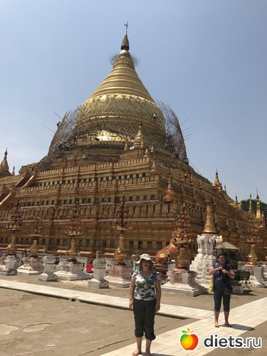 87 ����: ������ 2017. �����