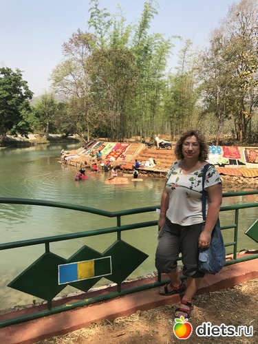 682 ����: ������ 2017. �����