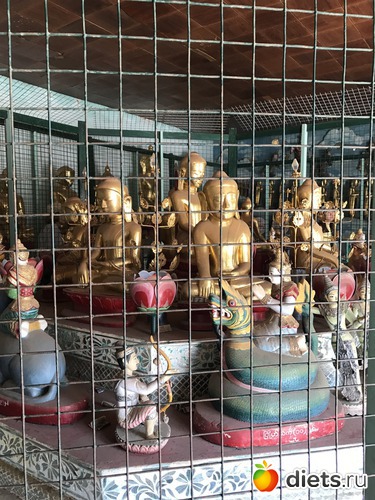 88 ����: ������ 2017. �����