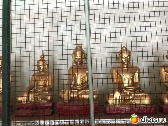 89 ����: ������ 2017. �����