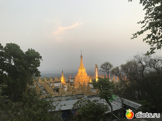 426 ����: ������ 2017. �����