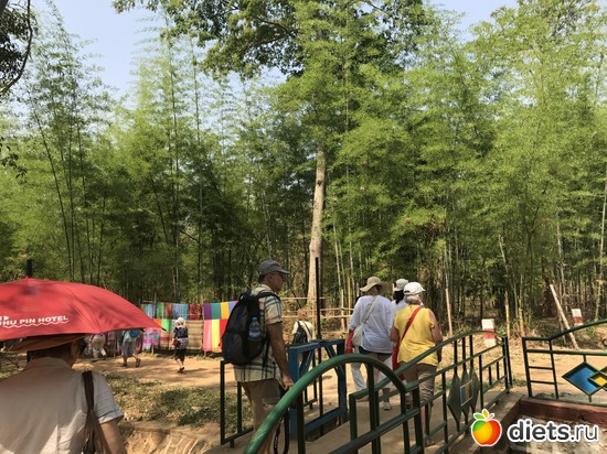 684 ����: ������ 2017. �����