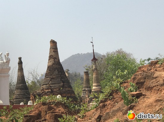 705 ����: ������ 2017. �����