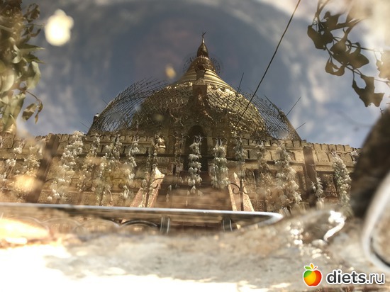 94 ����: ������ 2017. �����