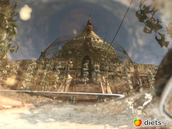 95 ����: ������ 2017. �����