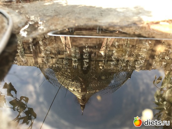 96 ����: ������ 2017. �����