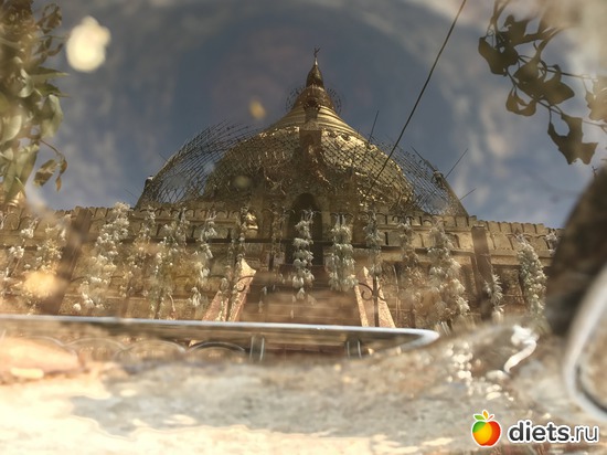 97 ����: ������ 2017. �����