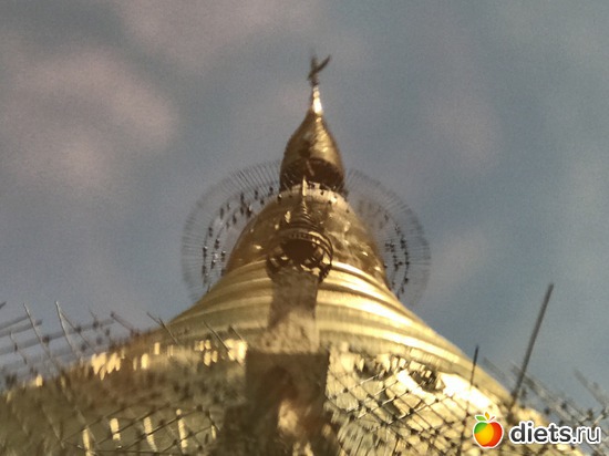 98 ����: ������ 2017. �����