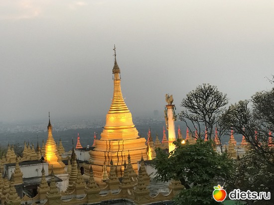 428 ����: ������ 2017. �����