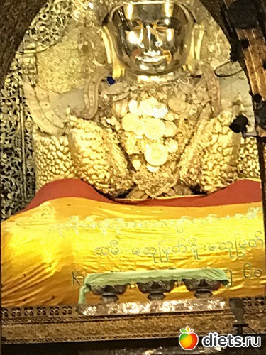 558 ����: ������ 2017. �����