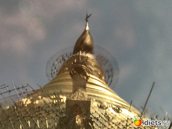 99 ����: ������ 2017. �����