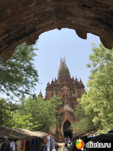 101 ����: ������ 2017. �����