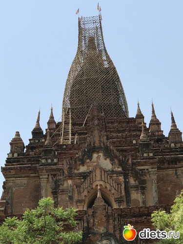 102 ����: ������ 2017. �����