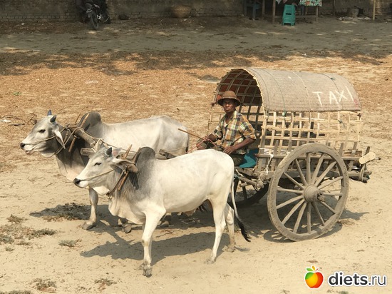 434 ����: ������ 2017. �����