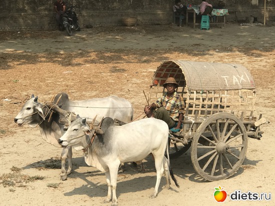 435 ����: ������ 2017. �����