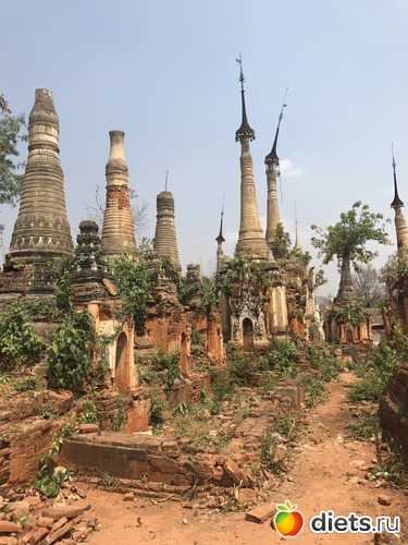 709 ����: ������ 2017. �����