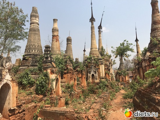 710 ����: ������ 2017. �����