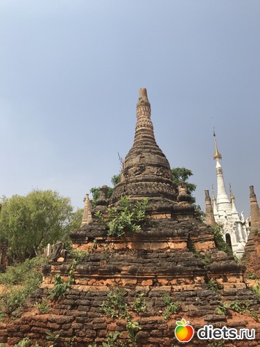 711 ����: ������ 2017. �����