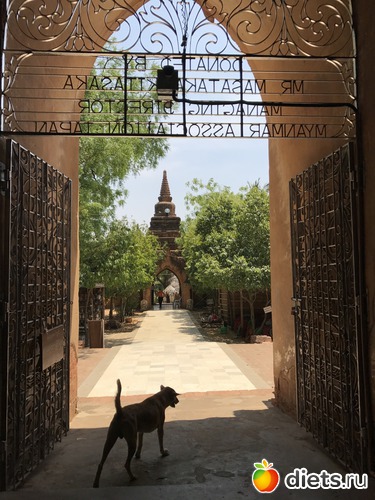 104 ����: ������ 2017. �����