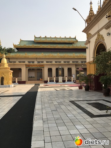 566 ����: ������ 2017. �����