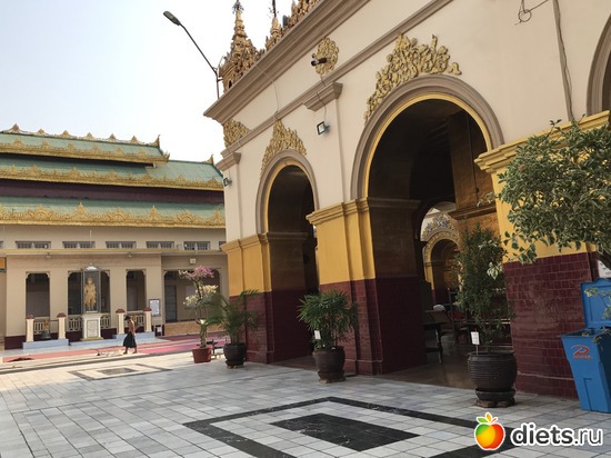 567 ����: ������ 2017. �����