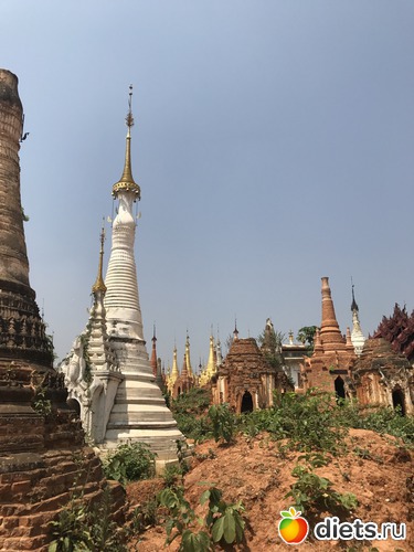 715 ����: ������ 2017. �����