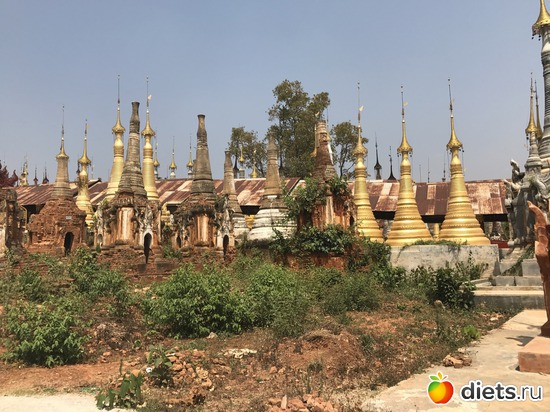 716 ����: ������ 2017. �����