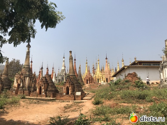 718 ����: ������ 2017. �����