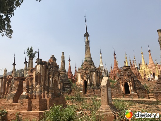 719 ����: ������ 2017. �����