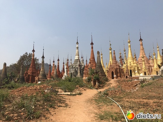 720 ����: ������ 2017. �����