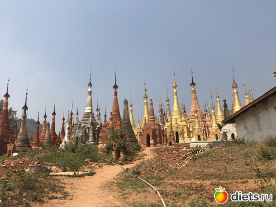 721 ����: ������ 2017. �����