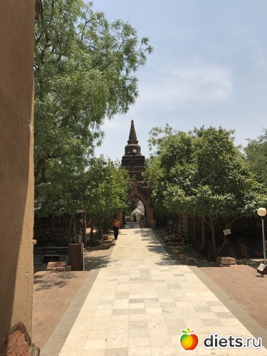 105 ����: ������ 2017. �����