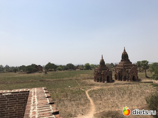 106 ����: ������ 2017. �����