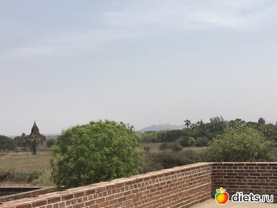 107 ����: ������ 2017. �����